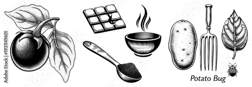 Classic black and white vector illustrations of food items and pests, including eggplant, chocolate bar, bowl, potato, fork, leaf, and potato bug, rendered in detailed halftone style.