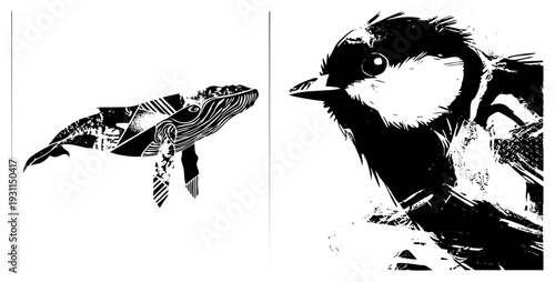 Graphic illustration of humpback whale and chickadee bird, halftone textures, artistic rendering, wildlife motifs, bold, vector design.