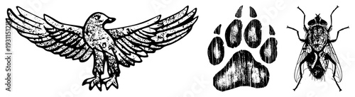 Vector art of a soaring hawk, dog paw print, and detailed fly, all rendered in gritty with halftone texture. Perfect for logos, tattoos, or nature themed designs.