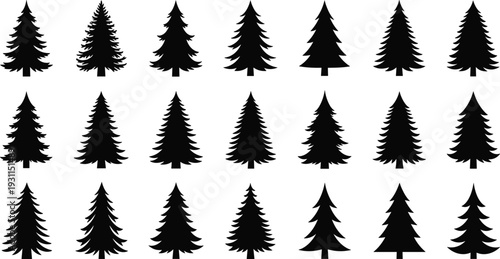 Pine tree silhouette collection with evergreen fir shapes isolated on white forest vector set