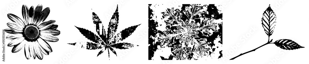 Fototapeta premium Black and white halftone illustrations of botanical elements daisy, leaf, fern frond, and birch branch with leaves. Stylized vector graphics for design or print.