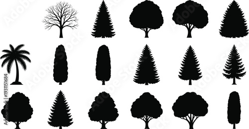 Tree silhouette collection with deciduous pine palm and ornamental trees isolated on white vector set