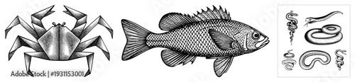Black/white vector origami crab, scaled fish, stylized snake variations. Artistic work, isolated elements. Ideal for graphic design or tattoos.