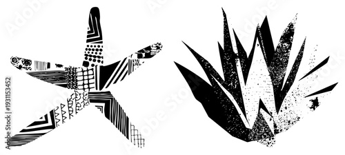 Abstract starfish with tribal and spiky plant with halftone texture, both vector graphics, isolated elements, artistic design for print or web.