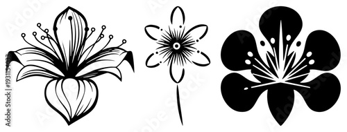 Graphic design of lily, starburst flower, and plum blossom black art, botanical, minimalist motifs, decorative vector elements.
