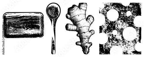 Hand drawn spoon with wood grain, ginger root texture, halftone shading, rustic kitchen tools, engraved botanical illustration.