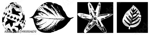 Black and white halftone designs featuring egg, leaf, starfish, and leaf shapes, stylized with dot, vector art, isolated nature motifs.