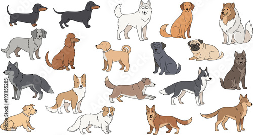 Dog breeds illustration set showing various domestic dogs standing sitting running different poses detailed flat vector collection