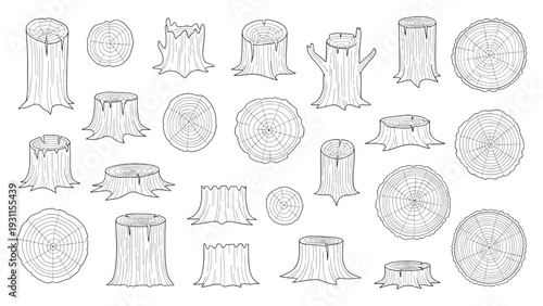 Tree Trunk and Stump Symbols Plan View Abstract Outline Vector Set for Site Mapping