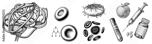 Neuroanatomy with blood cells, viral structure, health symbols, for nutrition, insulin pen and syringe for diabetes management, medical illustration set.