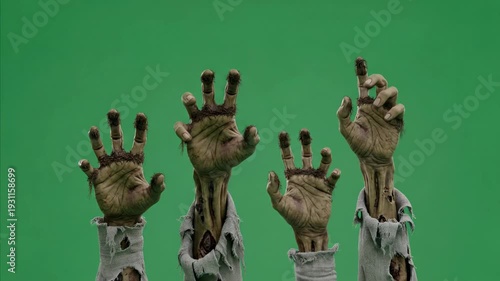 Zombie Hands Emerging from Ground on Green Screen