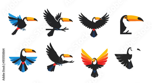 Colorful toucan illustrations in various poses on transparent background silhouette