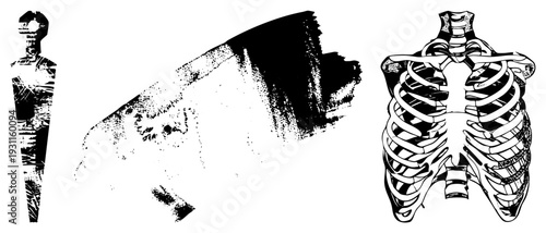 Anatomical rib cage illustration with stylized bone shapes, medical diagram, skeletal structure, black and white vector art, isolated bone forms.