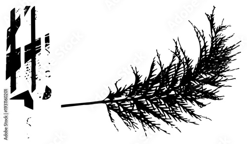 Black ink feather with detailed barbs, paired with fragmented geometric shapes, vector illustration, graphic art, isolated design elements.