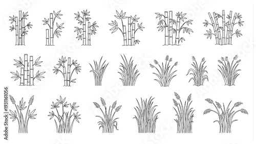 Bamboo and Grass Plants Plan View Outline Vector Pack for Architectural Site Design
