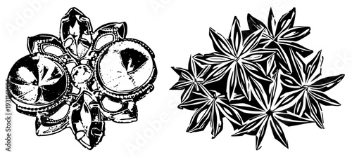 Intricate brooch with gemstone embellishments and star anise spice bundle, black and white vector art, decorative jewelry and culinary spice illustration.