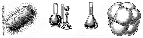 Microscopic bacterium with flagella, lab flasks and test tubes, molecular model spheres, engraved scientific vector art, educational biology diagram.