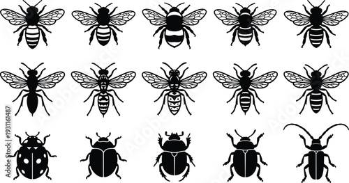 Bee and Beetle Silhouette Set, Detailed Flying Insect Vector Collection, Black and White Entomology Illustration Isolated on White Background