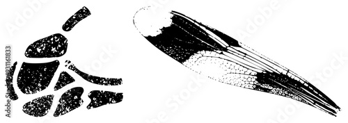 Detailed insect wing with venation, segmented scale, black and white graphic, entomological study, macro view, biological design.