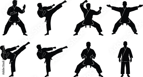 Karate Martial Arts Silhouette Set, Fighter Performing High Kick and Combat Stances, Black and White Vector Illustration Collection