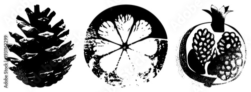 Black and white vector botanical illustrations pinecone, ginkgo leaf, pinecone in circular frame, halftone texture, isolated nature, forestry design elements.