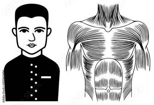 Stylized male bust with uniform and detailed muscle diagram, anatomical study, vector art, medical illustration, fitness concept, black and white art.