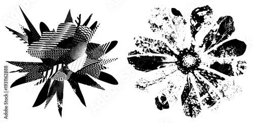 Stylized black and white flower designs using halftone and distressed textures, graphic art, vector illustration, pop art influence, isolated motifs.