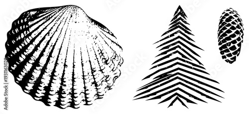 Hand drawn woodcut illustrations of, evergreen tree, and pinecone,, rustic, natural elements, botanical motifs, engraved texture.