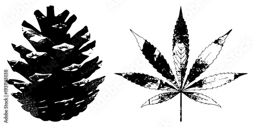 Black and white pinecone and leaf vector graphics with distressed textures, isolated cutout design, natural elements, botanical illustrations.