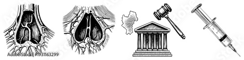 Vector illustrations of human anatomy organs and legal symbols, medical tools, courtroom architecture, black and white art, educational or procedural use.