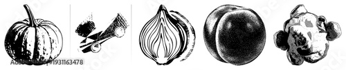 Artistic botanical illustrations of pumpkin, chili, onion, plum, and cauliflower, rendered in with textured strokes and shading techniques.