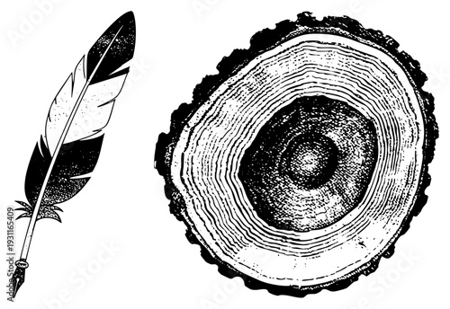Hand drawn feather quill pen and tree trunk section, engraved art, natural history illustration, botanical and calligraphic elements, black and white vector design.