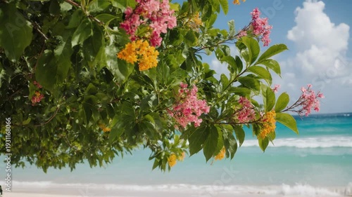 Beach scene with flowering tree branch.