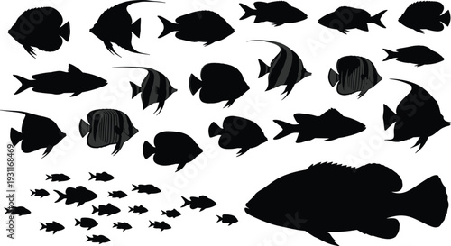 Tropical fish silhouette vector collection, diverse marine life icons, aquarium animal silhouettes, underwater sea creature set isolated on white background, SEO