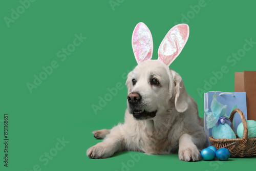 Cute Golden Retriever dog i...