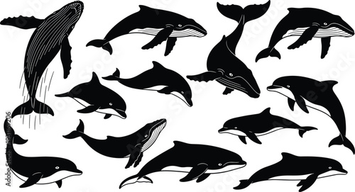Whale and dolphin silhouette set, jumping humpback whale, swimming dolphins, marine life collection, sea mammals, ocean wildlife, aquatic nature, underwater.