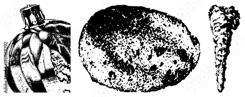 Black and white halftone vector illustrations of rock, meteorite, and mineral specimen, scientific study, geology sample, geological texture, isolated mineral forms.