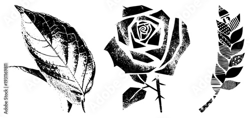 Vector illustrations of leaf, rose, and wheat stalk with halftone textures, graphic art elements, botanical motifs, design assets for branding or print.