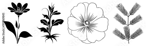 Stylized vector graphics including blossoms, stems, and ferns, rendered in minimalist black and solid fills, ideal for design projects or nature themed visuals.