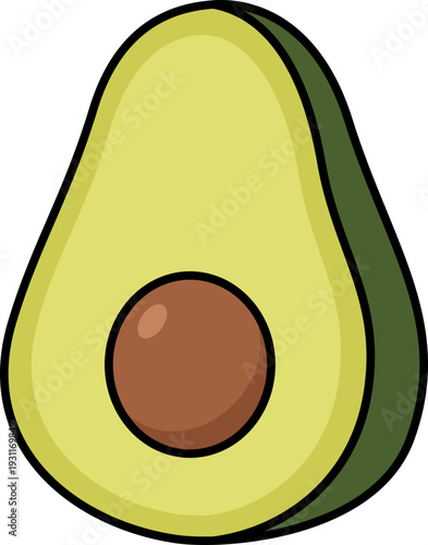 Avocado illustration