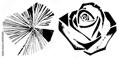 Graphic dandelion seed head and rose flower, vector silhouette art, black and white, halftone texture, isolated elements, botanical illustration, artistic stencil style.