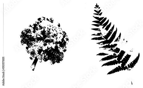 Graphic vector illustration of fern leaf and bloom, silhouette, halftone texture, botanical design, nature motif, isolated elements.