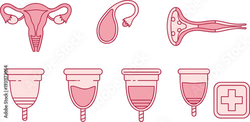 Menstrual Hygiene and Female Health Vector Illustration Set with Menstrual Cup Female Reproductive System Uterus and Medical Cross Icons for Wellness Design