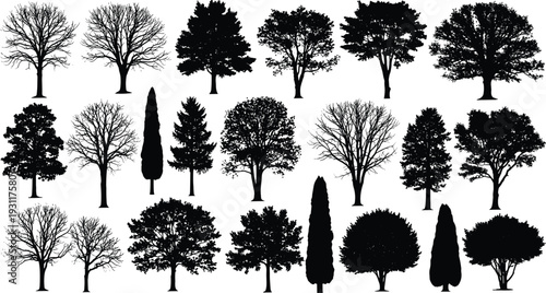 Detailed black tree silhouettes set featuring oak, maple, pine, cypress, and leafless winter trees for nature landscape