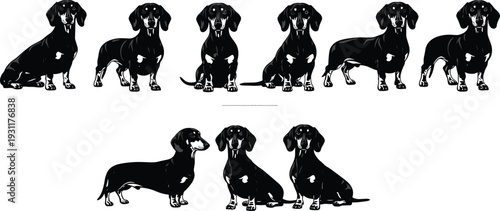 Black and Tan Dachshund Silhouette Collection Featuring Doxie Dogs in Sitting Standing and Profile Poses for Pet Lovers and Design Projects