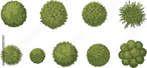 Top view green bush and shrub collection featuring realistic foliage textures and round garden plants, ideal for landscape design, park planning, nature themes, and outdoor environment illustration.