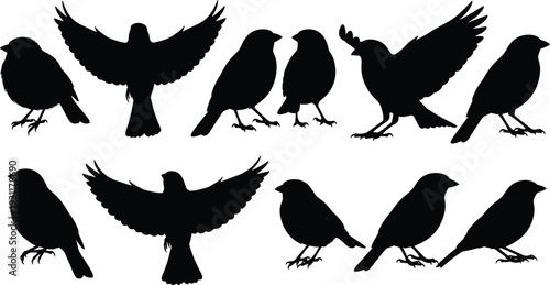 Black bird silhouette icons collection, flying and perching sparrow vector set, nature wildlife elements for minimalist design isolated on white background.