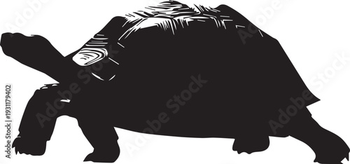 Slow-moving tortoise silhouette showing domed shell and sturdy legs.