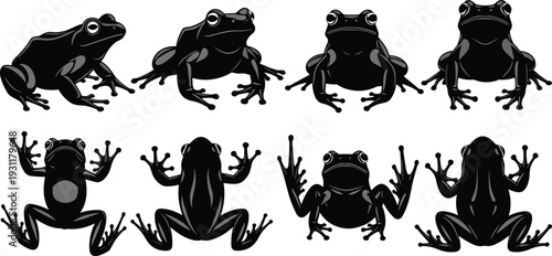Black frog silhouette collection set with different toad poses isolated on white background for nature wildlife pond environment biology and amphibian graphic design