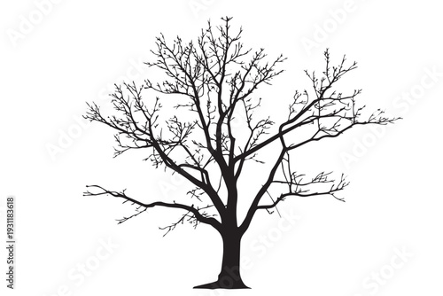 Black silhouette of a dry winter tree without leaves.Dead tree branch silhouette isolated on white background.Bare tree branches vector illustration.